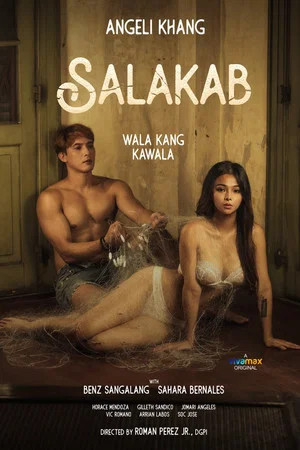 Постер: Salakab