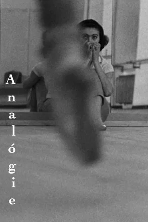 Постер: Analógie
