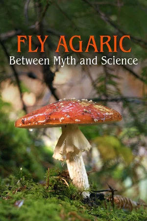 Постер: The Fly Agaric