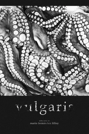 Постер: Vulgaris