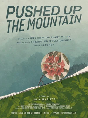 Постер: Pushed Up The Mountain