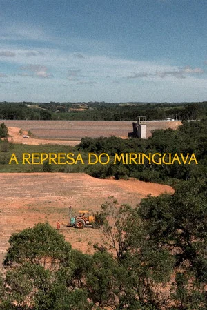 Постер: The Miringuava Dam