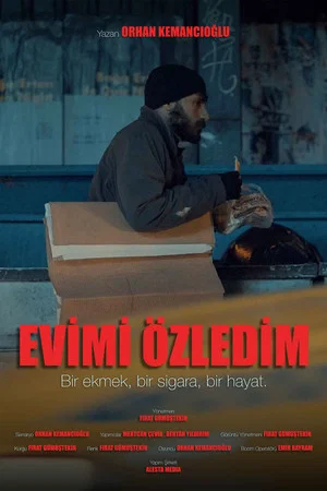 Постер: Evimi Özledim