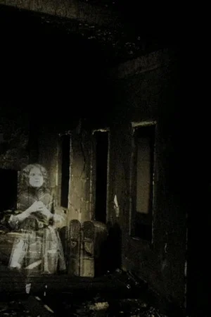 Постер: Palimpsest