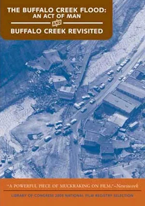 Постер: The Buffalo Creek Flood: An Act of Man