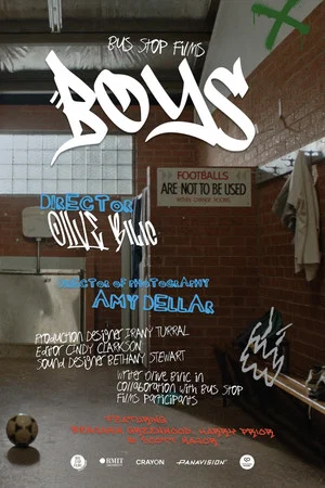 Постер: Boys