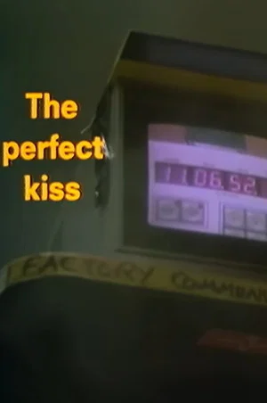 Постер: The Perfect Kiss