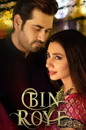 Постер: Bin Roye