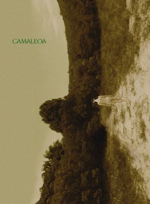 Постер: Camaleoa