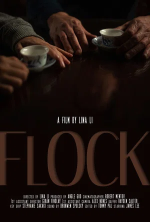 Постер: Flock