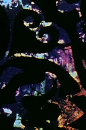 Постер: Nûr Cosmos Spiritus/Nûr Version 1