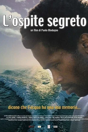 Постер: L'ospite segreto