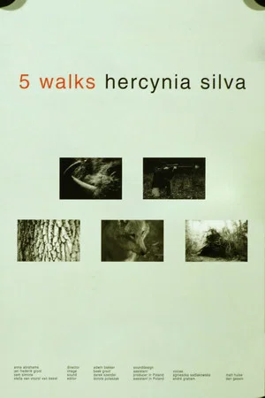 Постер: 5 Walks. Hercynia Silva