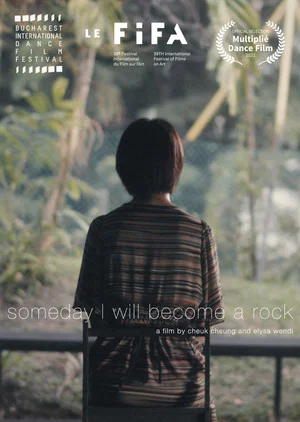 Постер: Someday I Will Become a Rock
