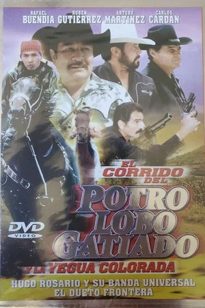 Постер: Corrido del potro lobo gatiado y la yegua colorada