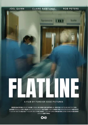Постер: Flat Line
