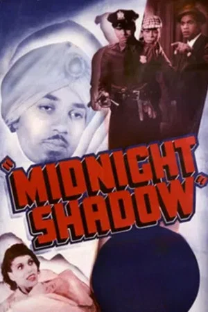 Постер: Midnight Shadow