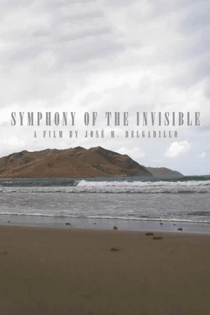 Постер: Symphony Of The Invisible