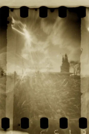 Постер: Pinhole Park