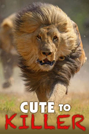 Постер: Cute to Killer