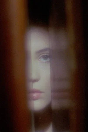 Постер: Phantasmagoria of the Interior