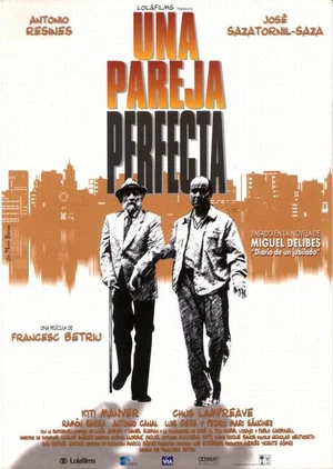 Постер: A Perfect Couple