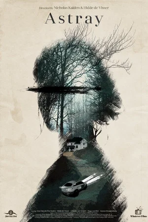 Постер: Astray
