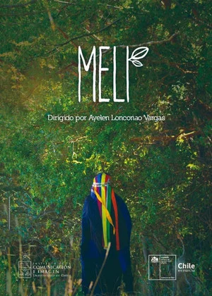 Постер: Meli