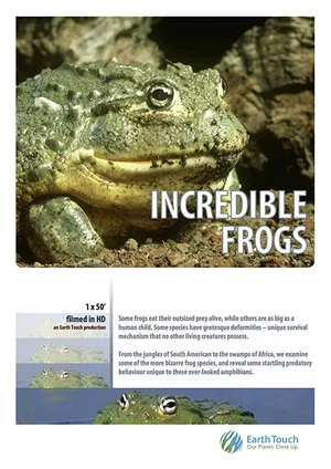 Постер: Incredible frogs