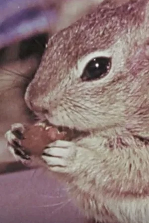 Постер: Squeak the Squirrel