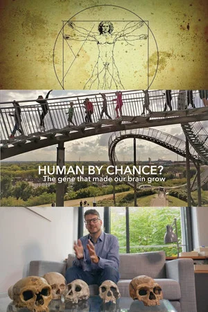 Постер: Human By Chance?