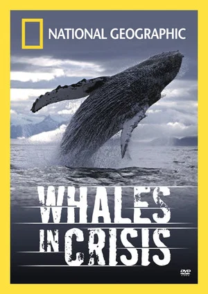 Постер: Whales in Crisis