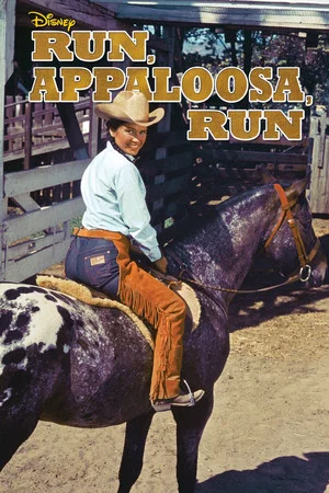 Постер: Run, Appaloosa, Run!