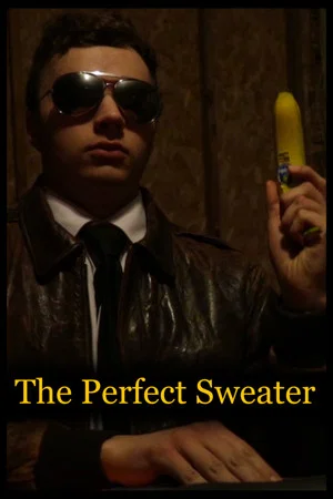 Постер: The Perfect Sweater