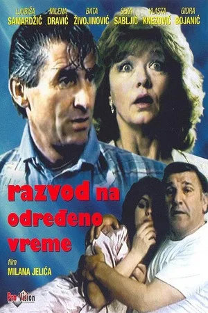 Постер: Part-Time Divorce