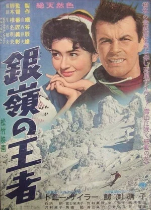 Постер: Storm on the Silvery Peaks
