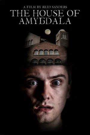 Постер: The House of Amygdala