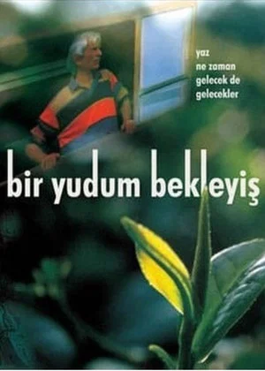 Постер: Bir Yudum Bekleyiş