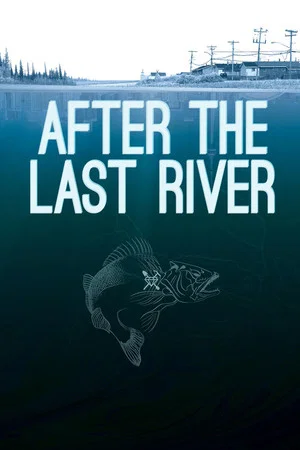 Постер: After the Last River
