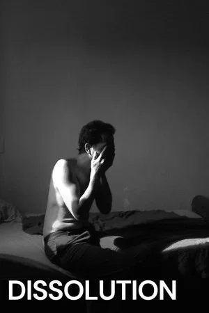 Постер: Dissolution