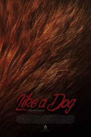 Постер: Like A Dog