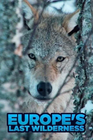 Постер: Europe's Last Wilderness