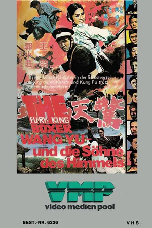 Постер: Fury of King Boxer