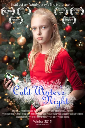 Постер: Cold Winter's Night