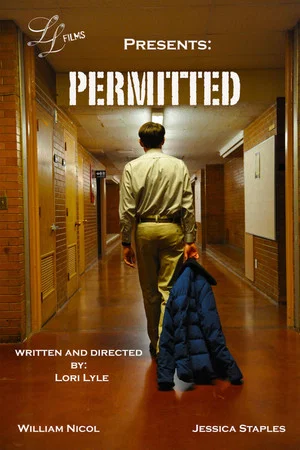 Постер: Permitted