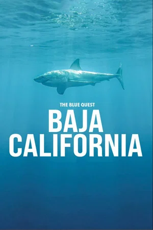 Постер: The Blue Quest Baja California