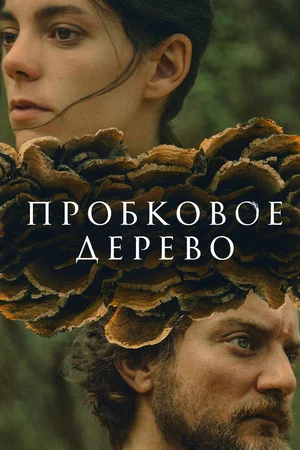 Постер: Пробковое дерево