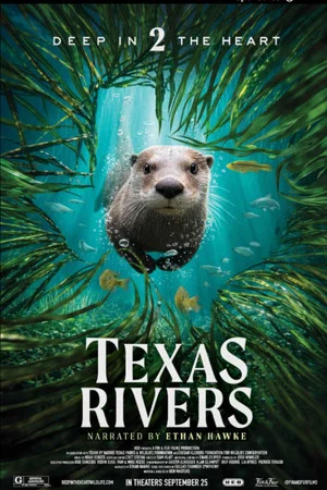 Постер: Deep in the Heart II: Texas Rivers