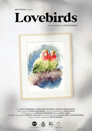 Постер: Lovebirds