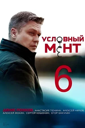 Постер: 6 сезон